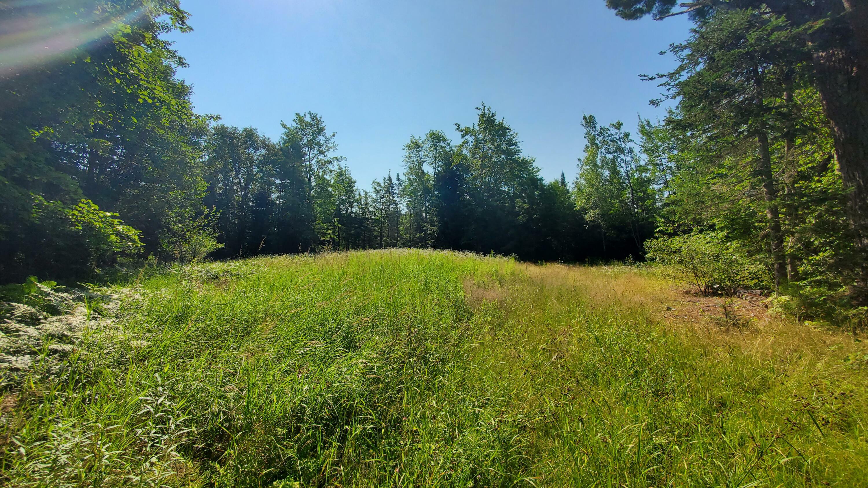 Property Photo:  202 Lower Cross Road  ME 04449 