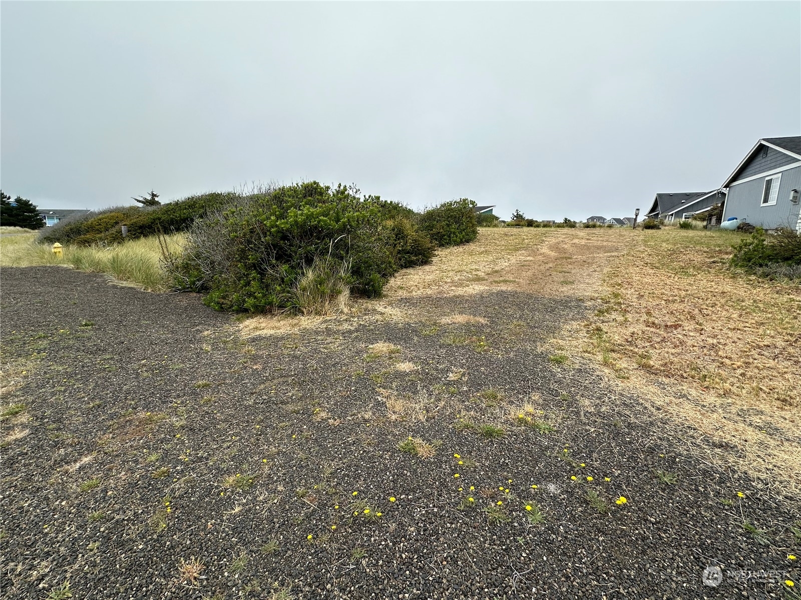 Property Photo:  437 N Bel Air Loop SW  WA 98569 