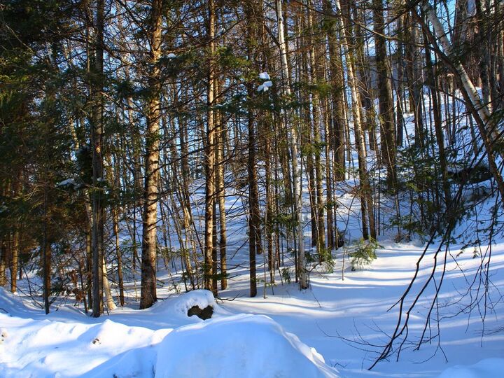 Property Photo:  Outlot 1 Skye Dr  WI 54565 