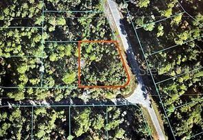 Property Photo:  Tbd Malauka Pass Run  FL 32179 