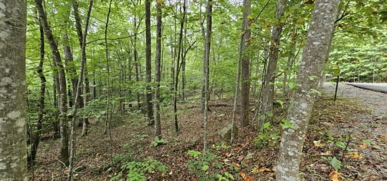 Property Photo:  0 Deep Woods Dr  TN 37327 