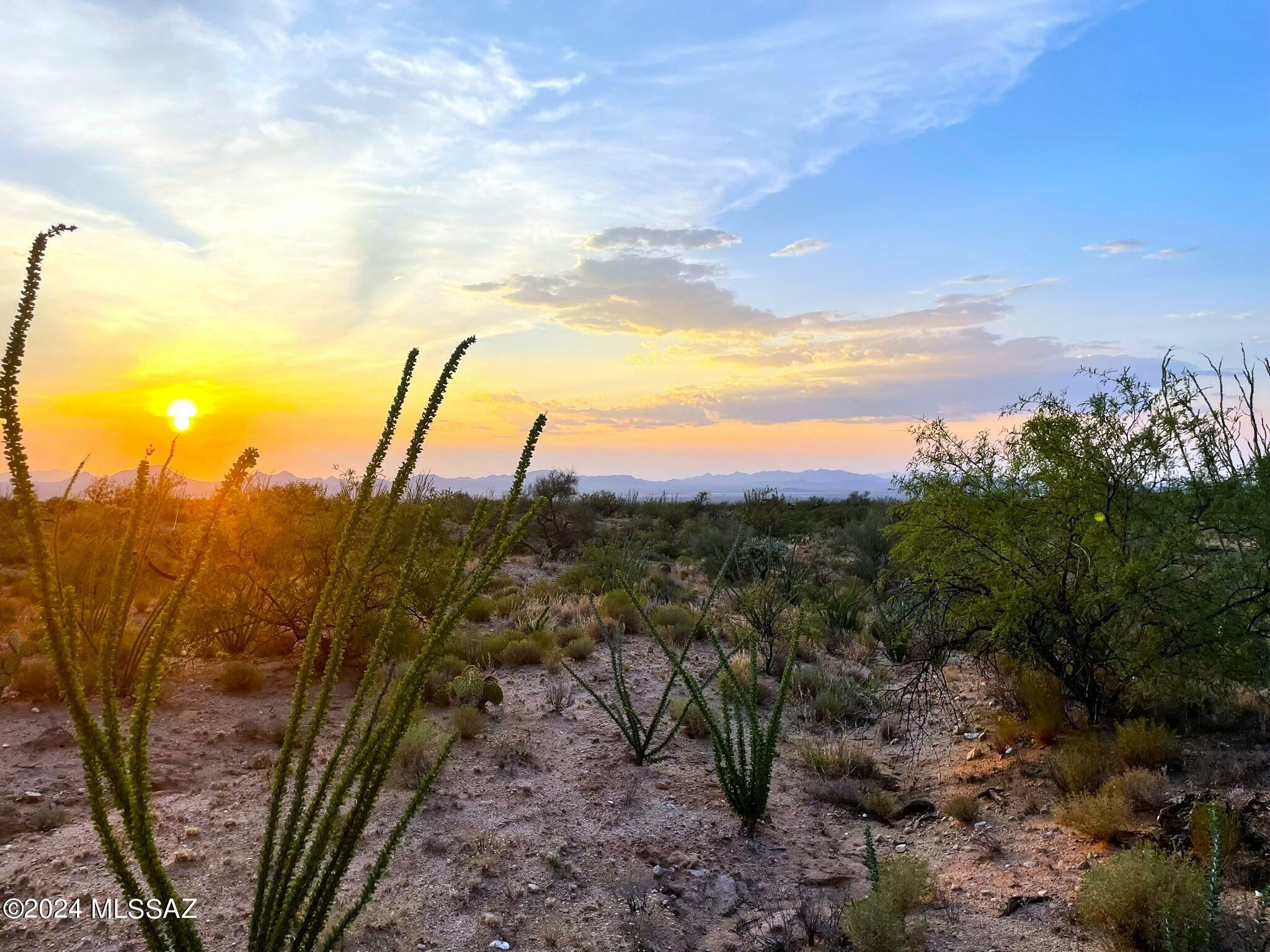 Property Photo:  13900 Rundell Road  AZ 85736 