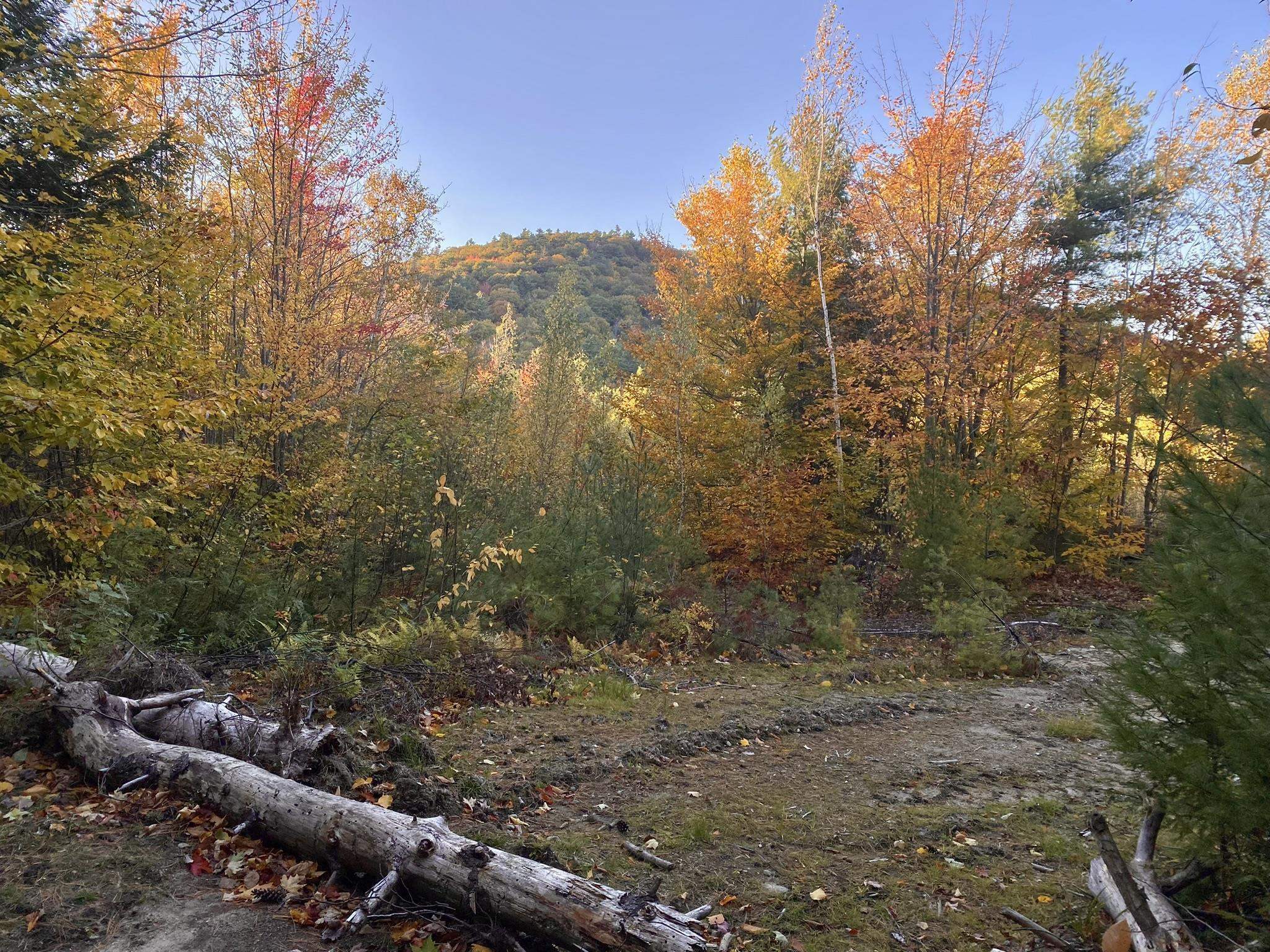 Property Photo: Willis Bean Road NH 03832