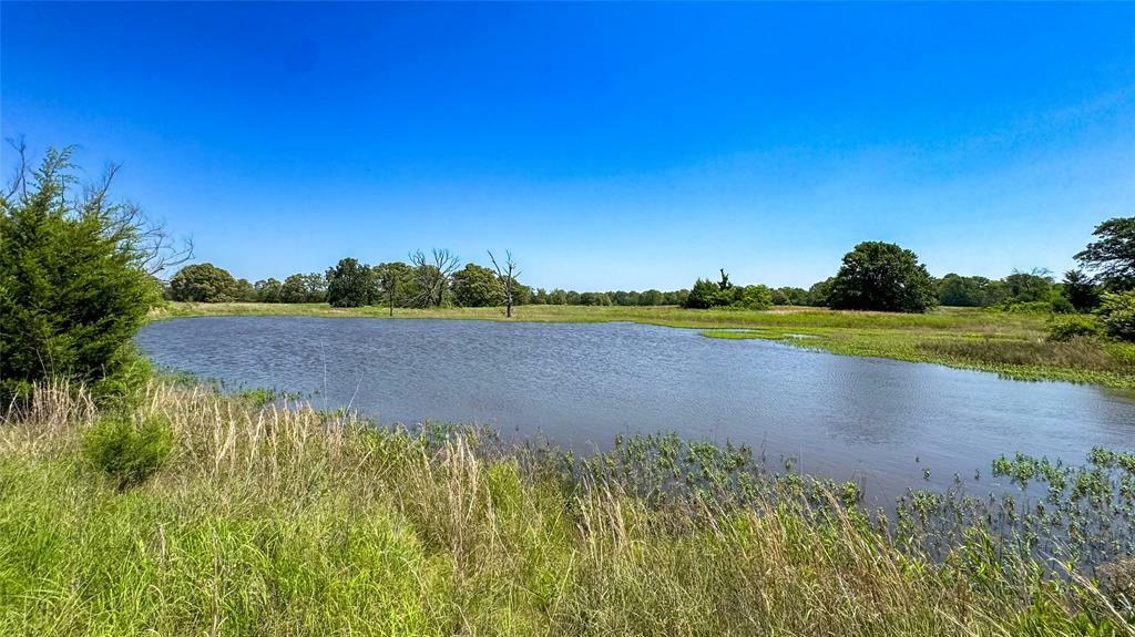 Property Photo:  10 Ac County Road 34710  TX 75460 