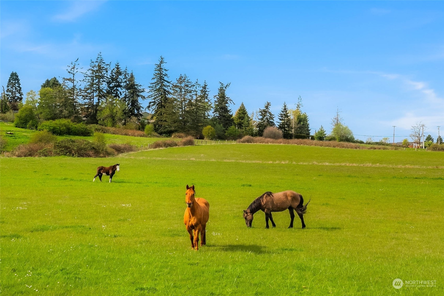 Property Photo:  3 Nhn North Camano Drive  WA 98282 