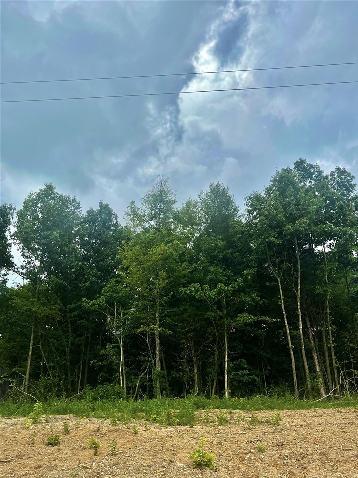 Property Photo:  Lot 2 Clay Cole Road  KY 42220 