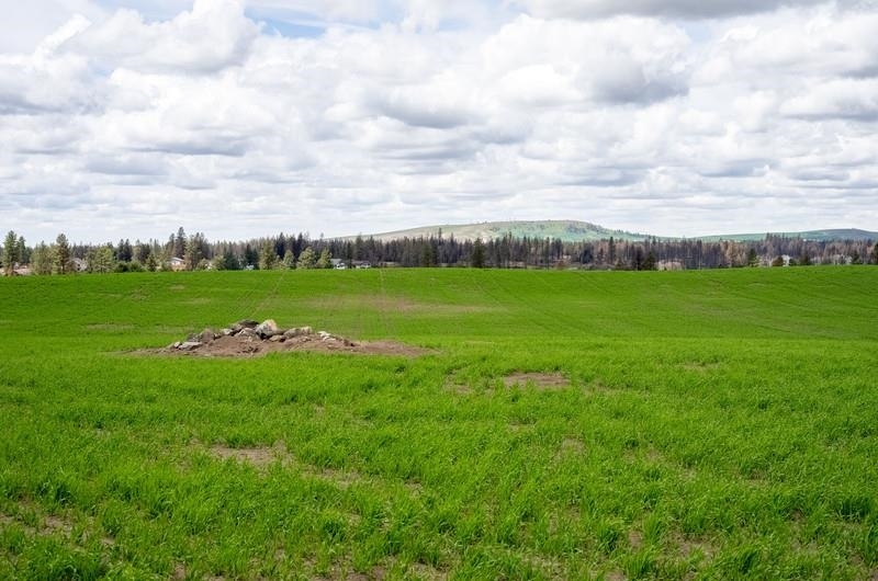 Property Photo:  Nka Duck Pond Lot 4 Ln  WA 99022 