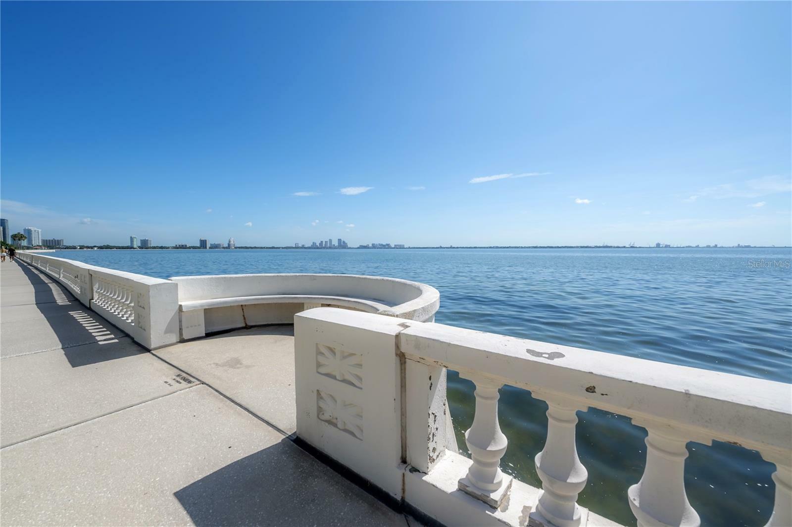 Property Photo:  4141 Bayshore Boulevard 1003  FL 33611 