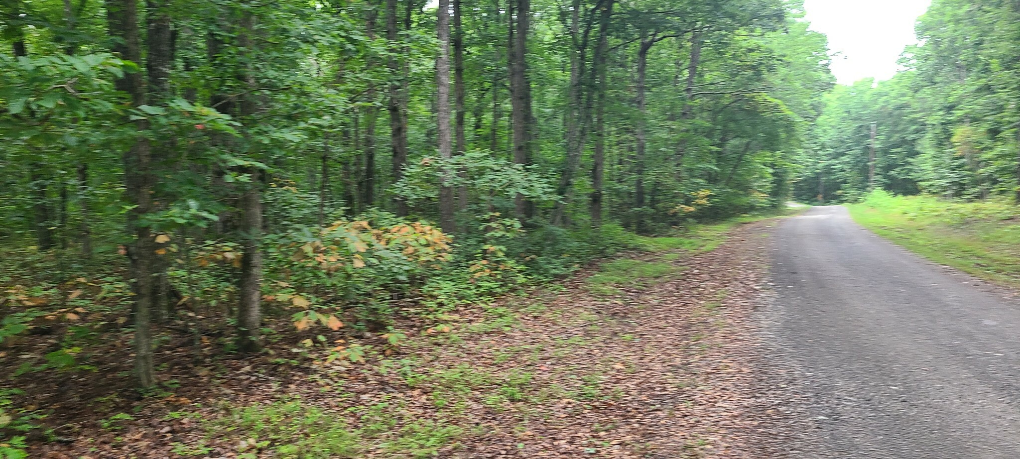 Property Photo:  0 Deer Run Road  TN 37301 