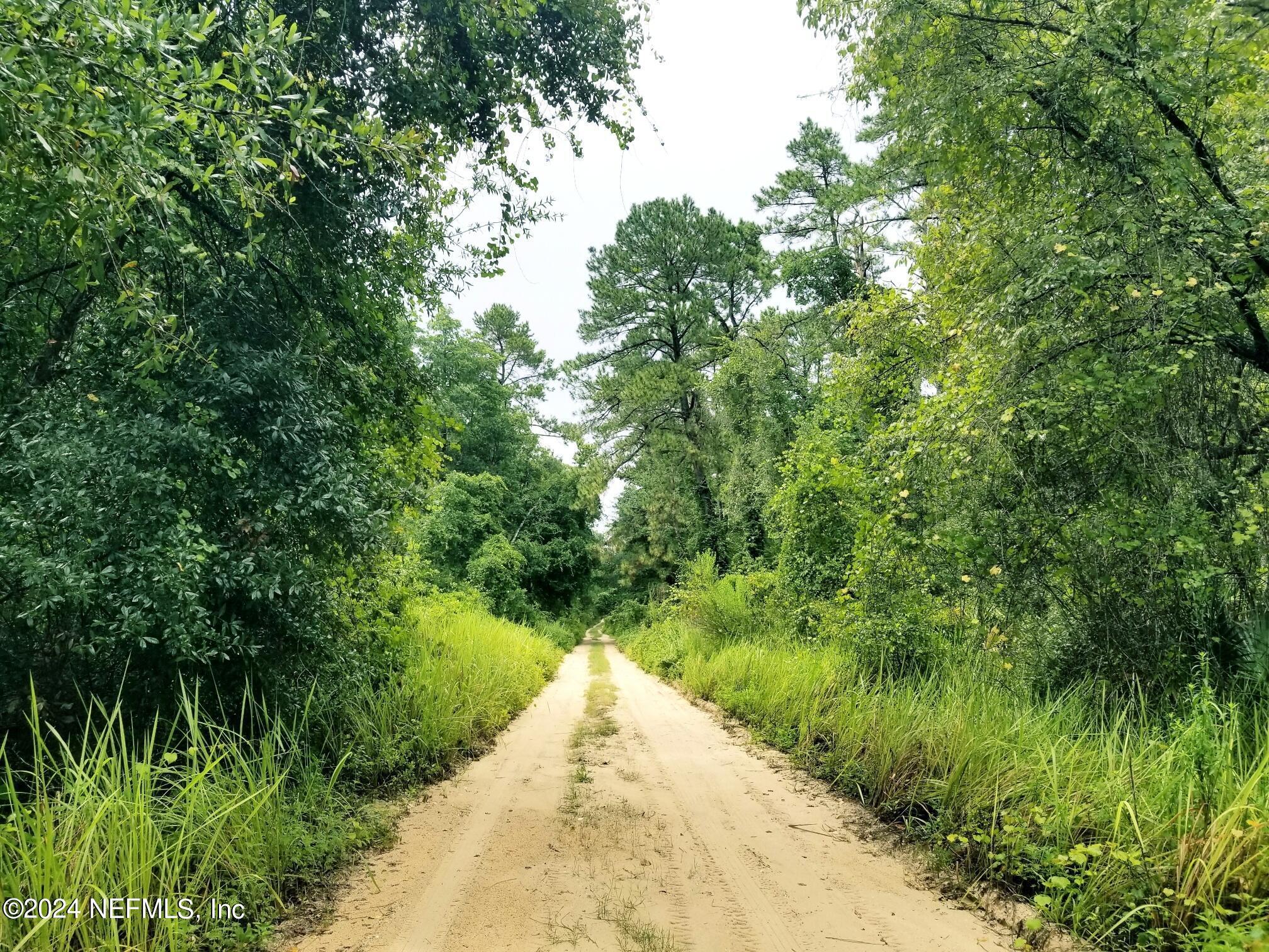 Property Photo: Lot 3 Edgehill Road FL 32189