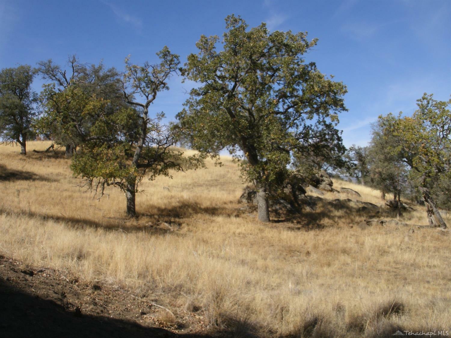 Property Photo:  0 Cedar Canyon Lot 4  CA 93561 