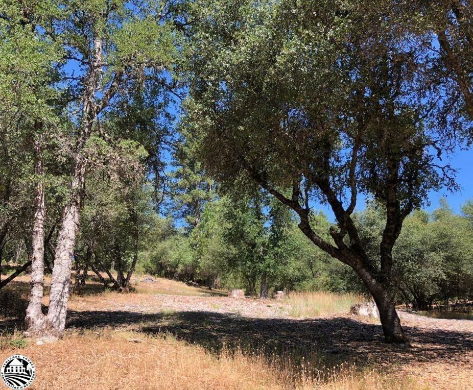 Property Photo:  21930 Lyons Bald Mountain Road  CA 95370 