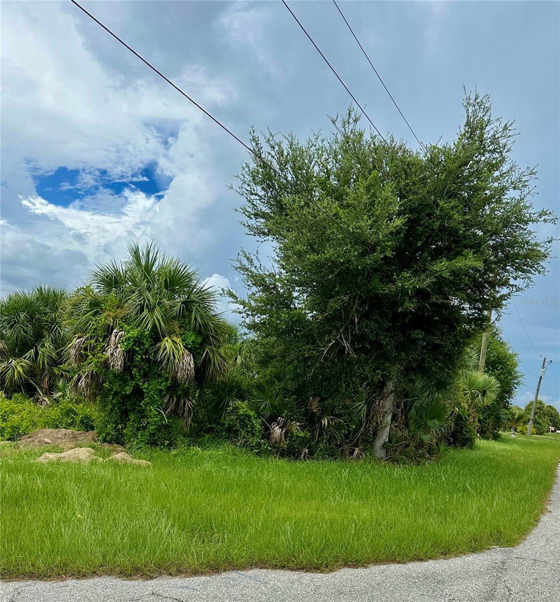 Property Photo:  10146 Rydell Street  FL 33981 