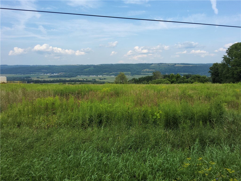 Property Photo:  0 Lattimer Hill Road  NY 14807 