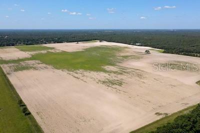 Property Photo:  SW 33rd St - 48.45 Ac (Pid 17393-000-00)  FL 34431 