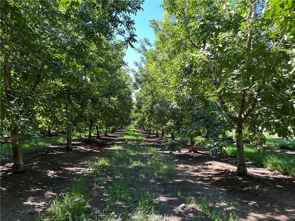 Property Photo:  5429 Anita Road  CA 95973 