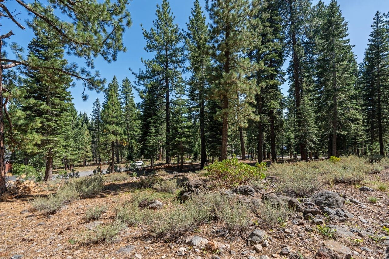 12062 Saddleback Drive  Truckee CA 96161-2885 photo