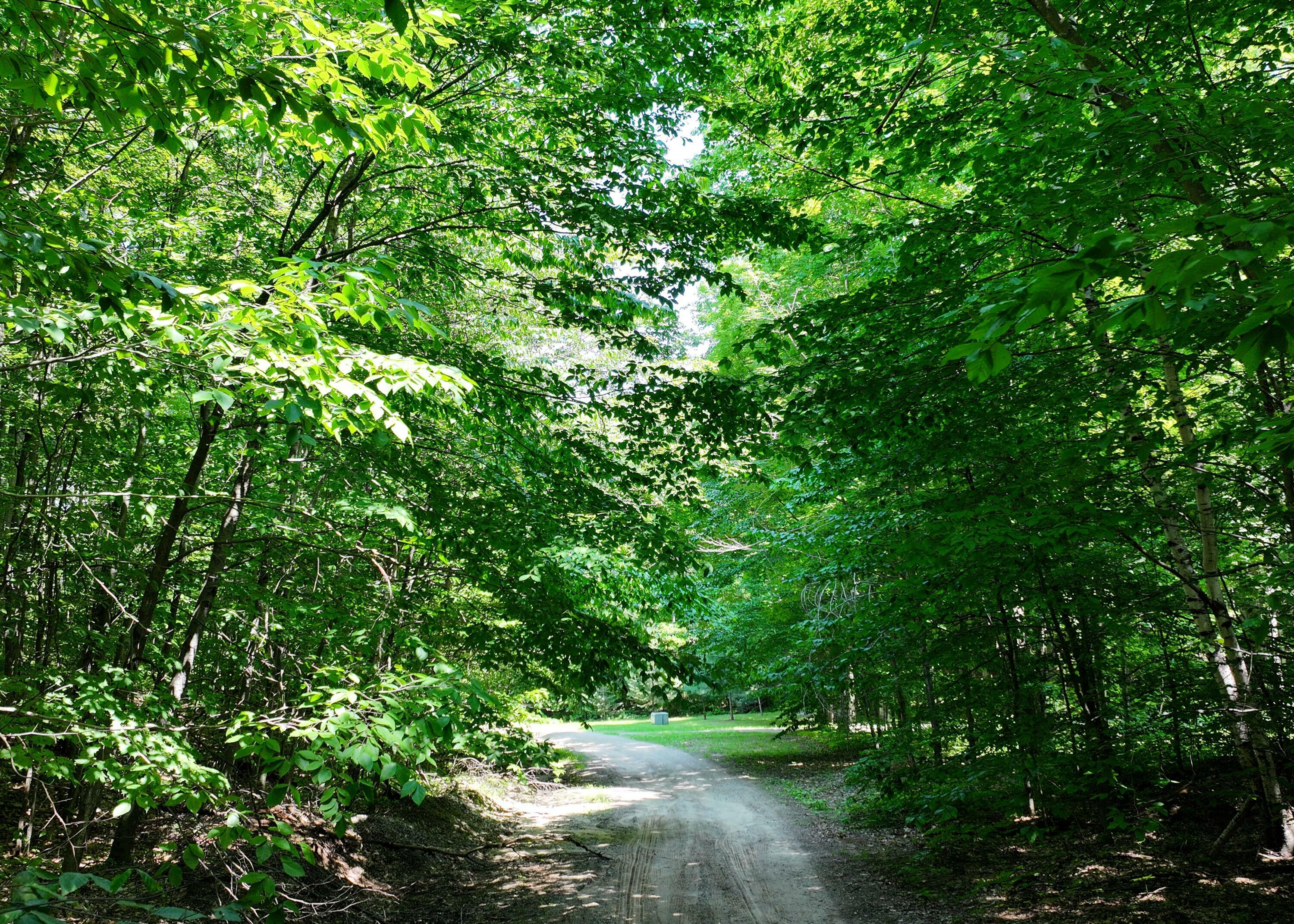 Property Photo:  E Greenway Drive  MI 49733 