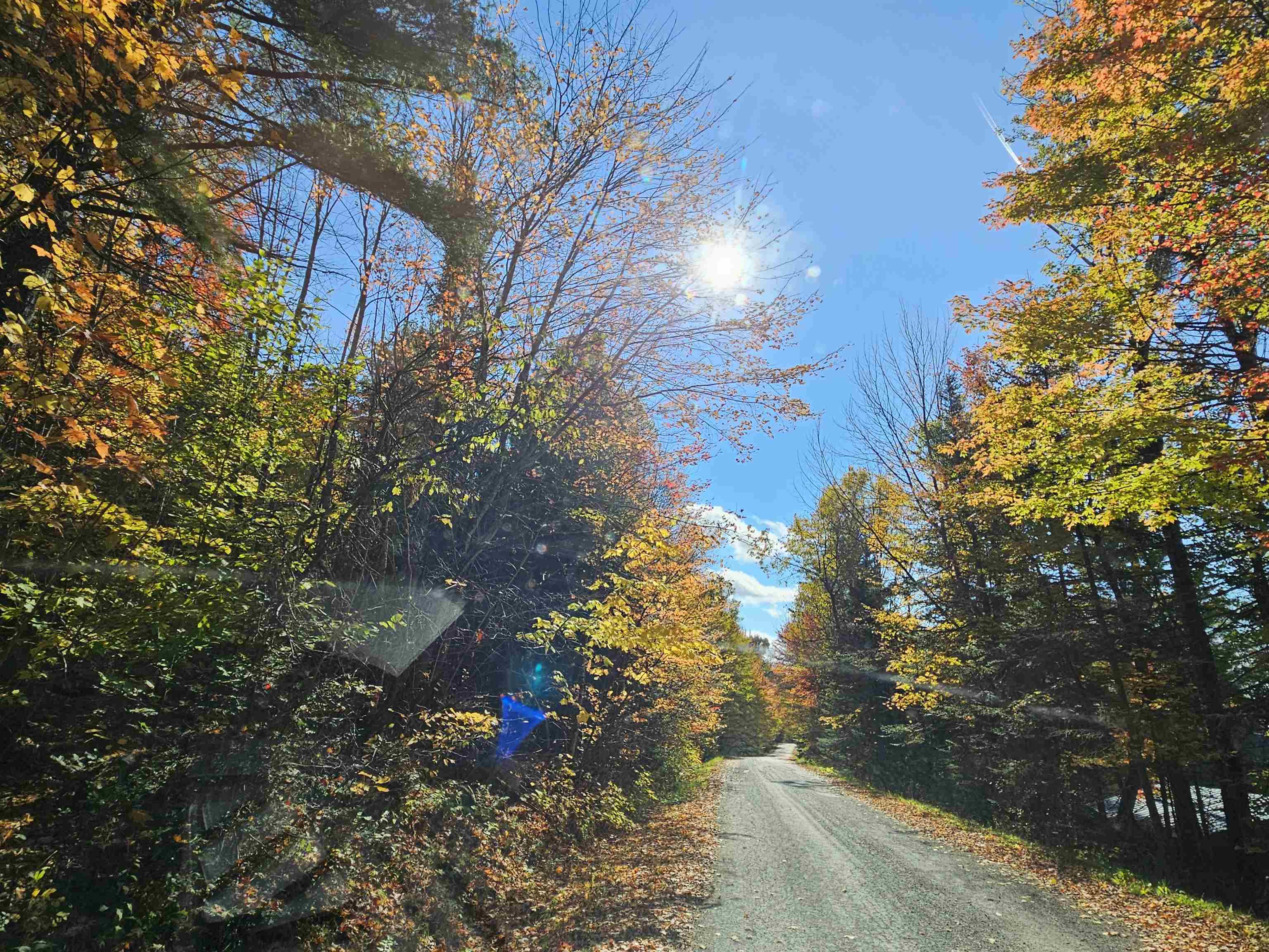 Property Photo:  Lot 6 Mount Cleveland Road  NH 03574 