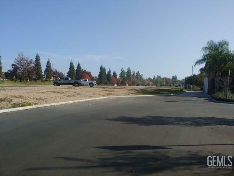 0 China Grade Loop  Bakersfield CA 93308 photo