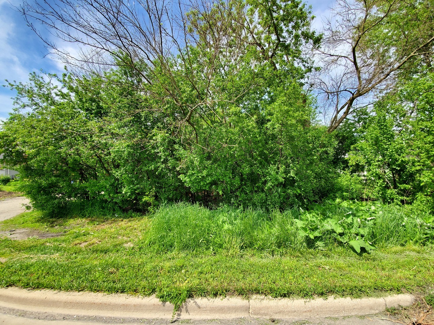 Property Photo:  2059 W Roosevelt Road  IL 60187 