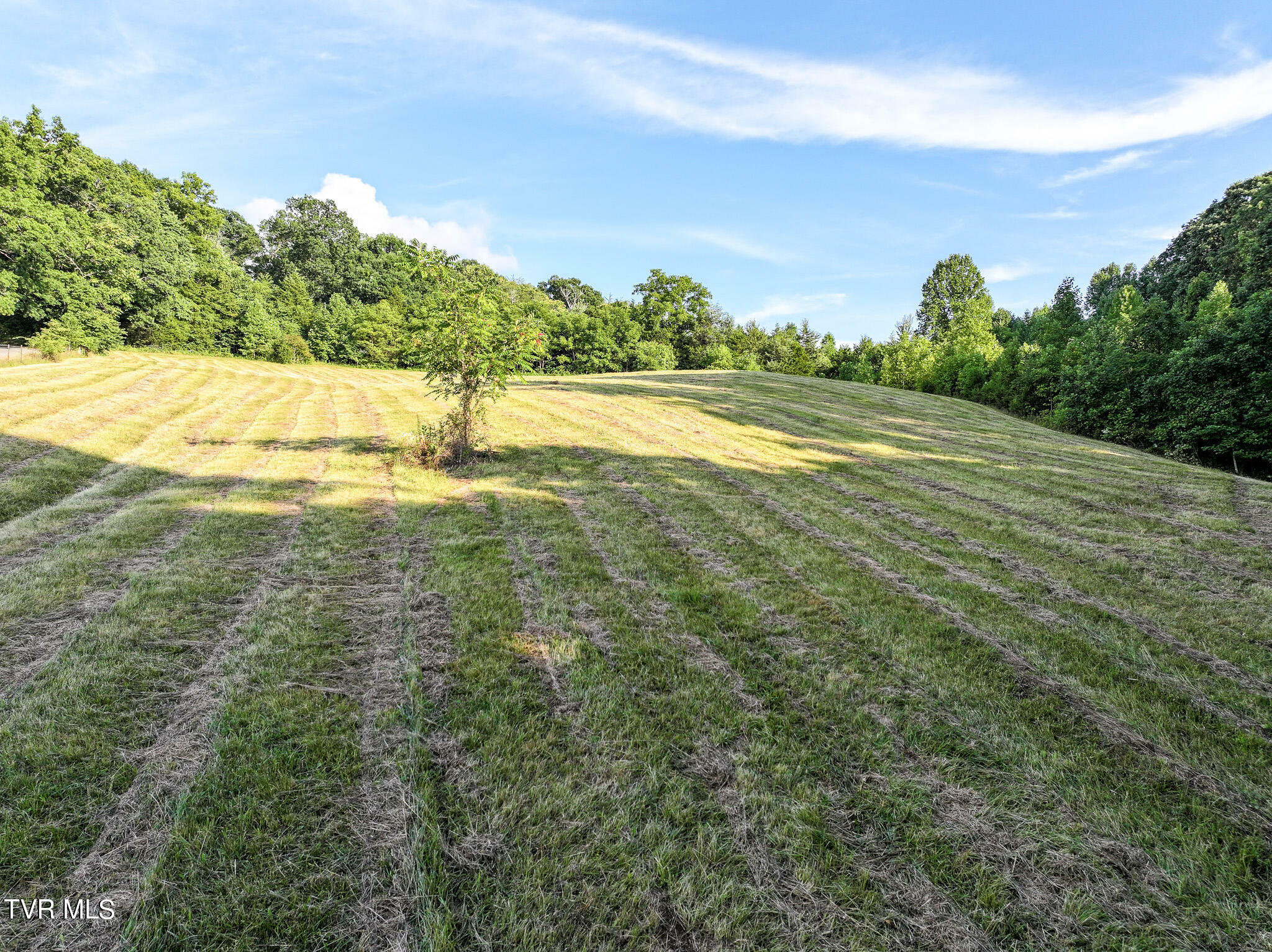 Property Photo:  Lot 3 Oss Williams Road  TN 37641 