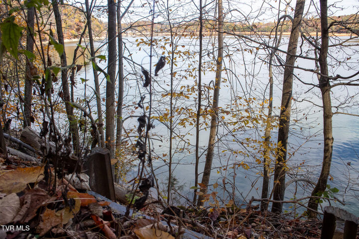 Lot 24 Furches Drive  Gray TN 37615 photo