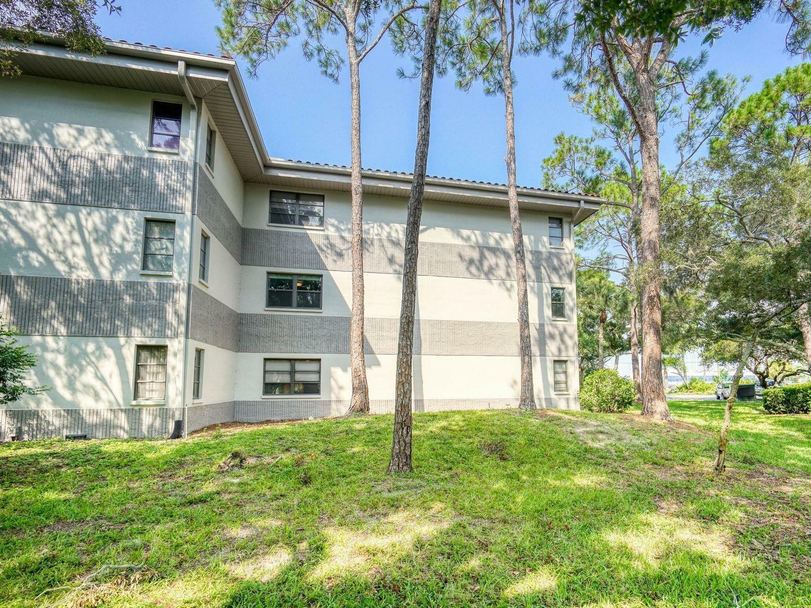 Property Photo:  2650 Countryside Boulevard B205  FL 33761 