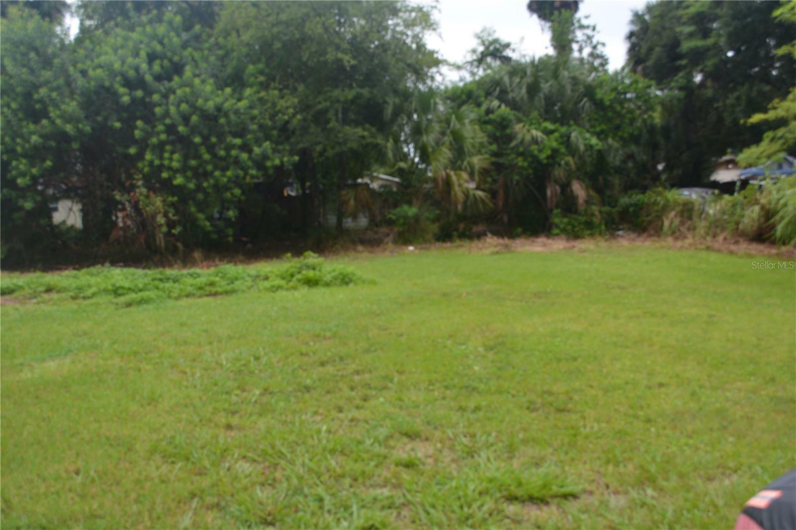 Property Photo: 0 Main Street FL 32771