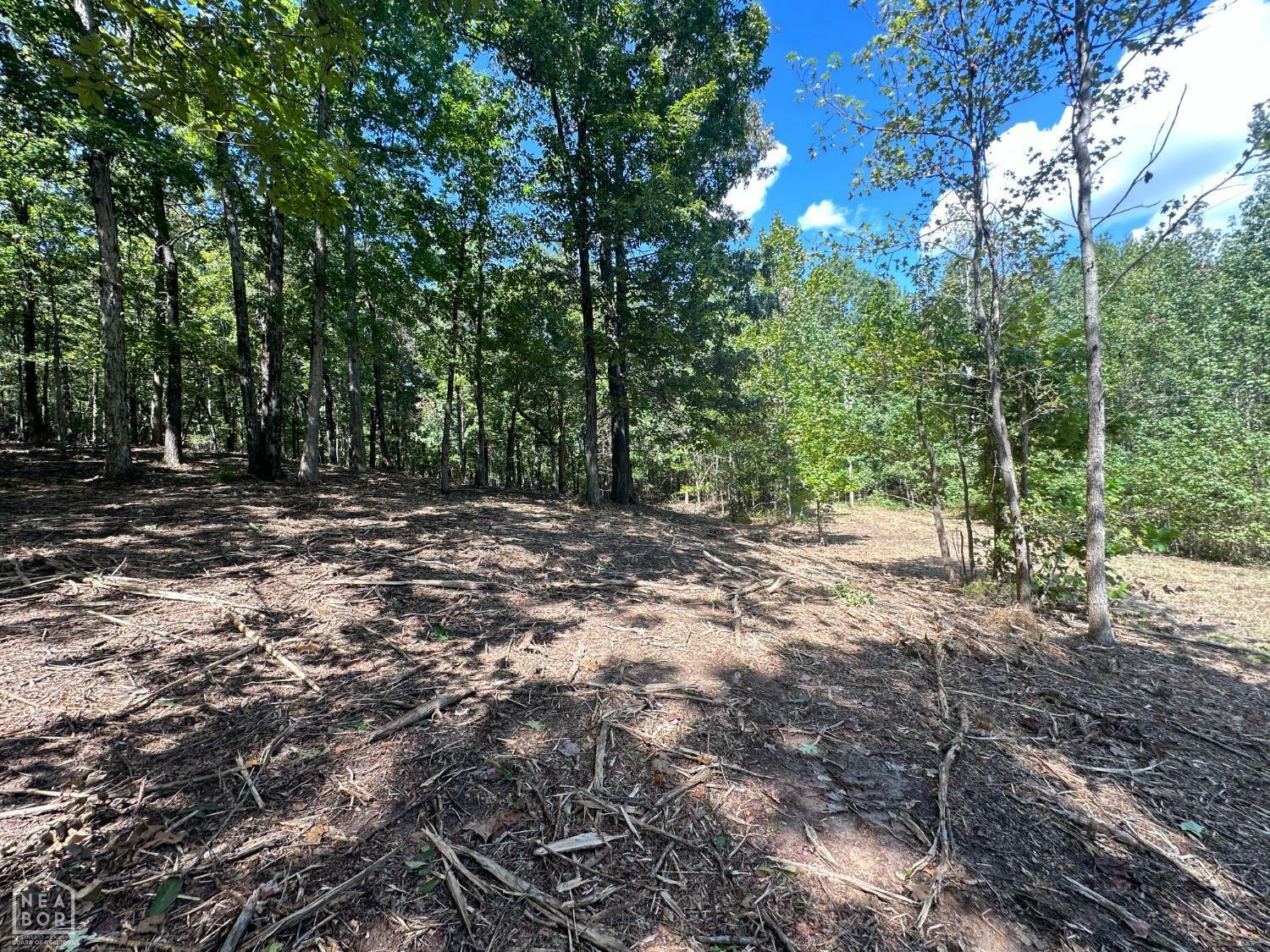 Property Photo:  159 County Road 389  AR 72416 