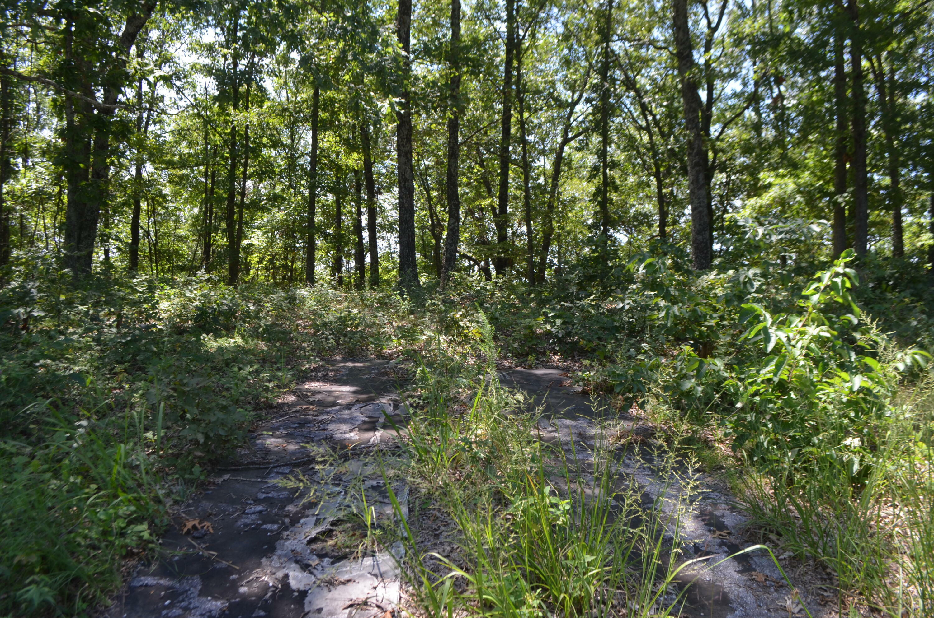 Property Photo: Lot 26-1 High View Circle MO 65620