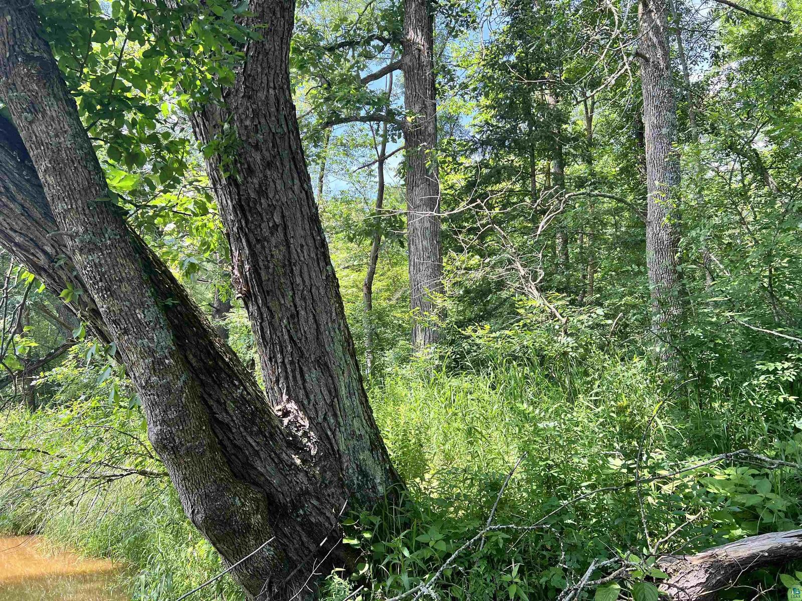Property Photo:  Xxx Chippewa Tr  WI 54867 