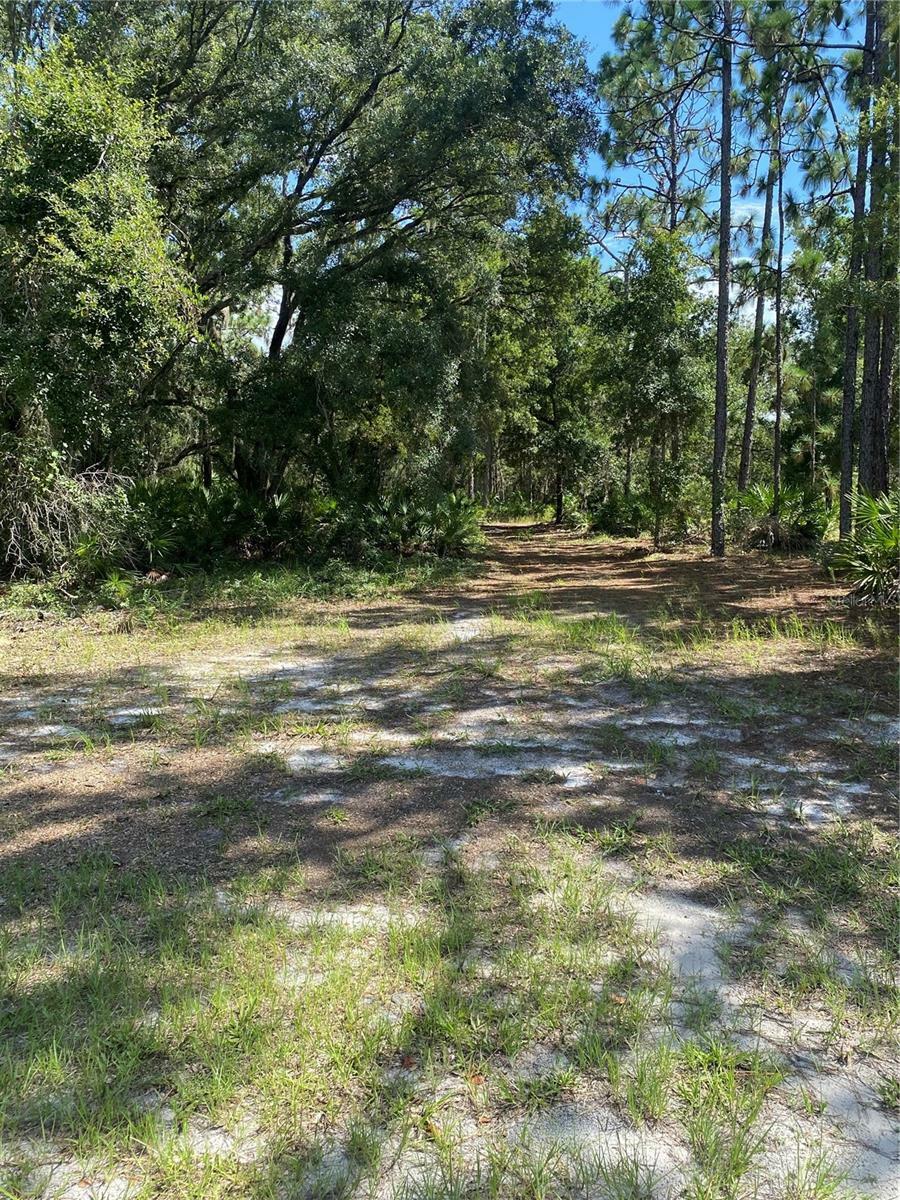 Property Photo:  0 Oleander Drive  FL 33855 