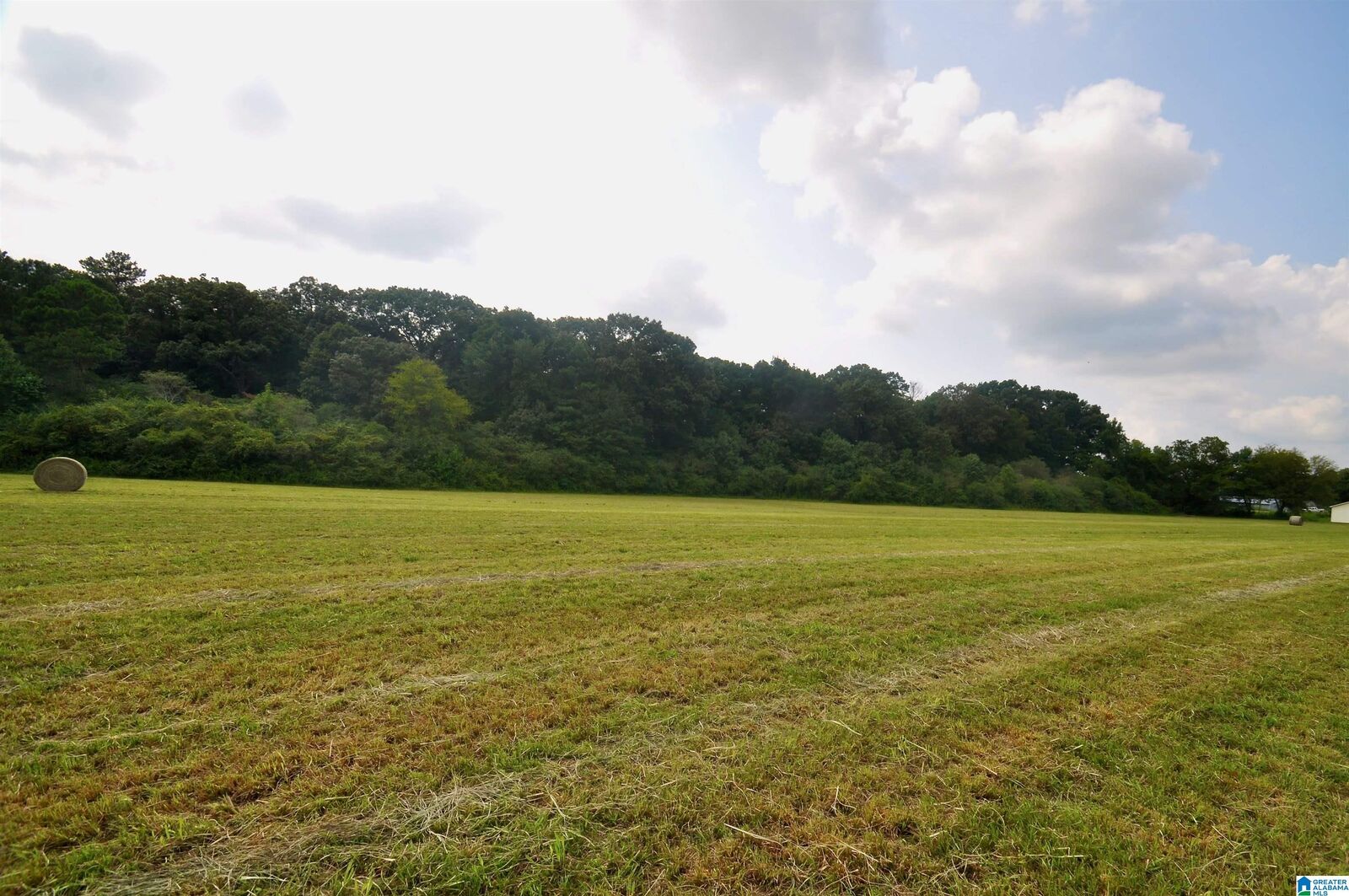 Property Photo:  13 Acres County Road 1549 13 Acres  AL 35058 
