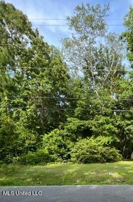 Property Photo:  Shore Drive  MS 39564 