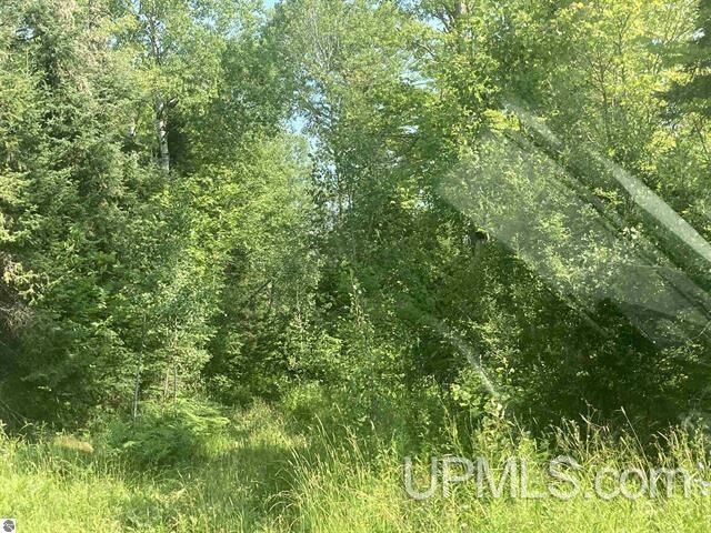 Tbd County Line  Nisula MI 49952 photo