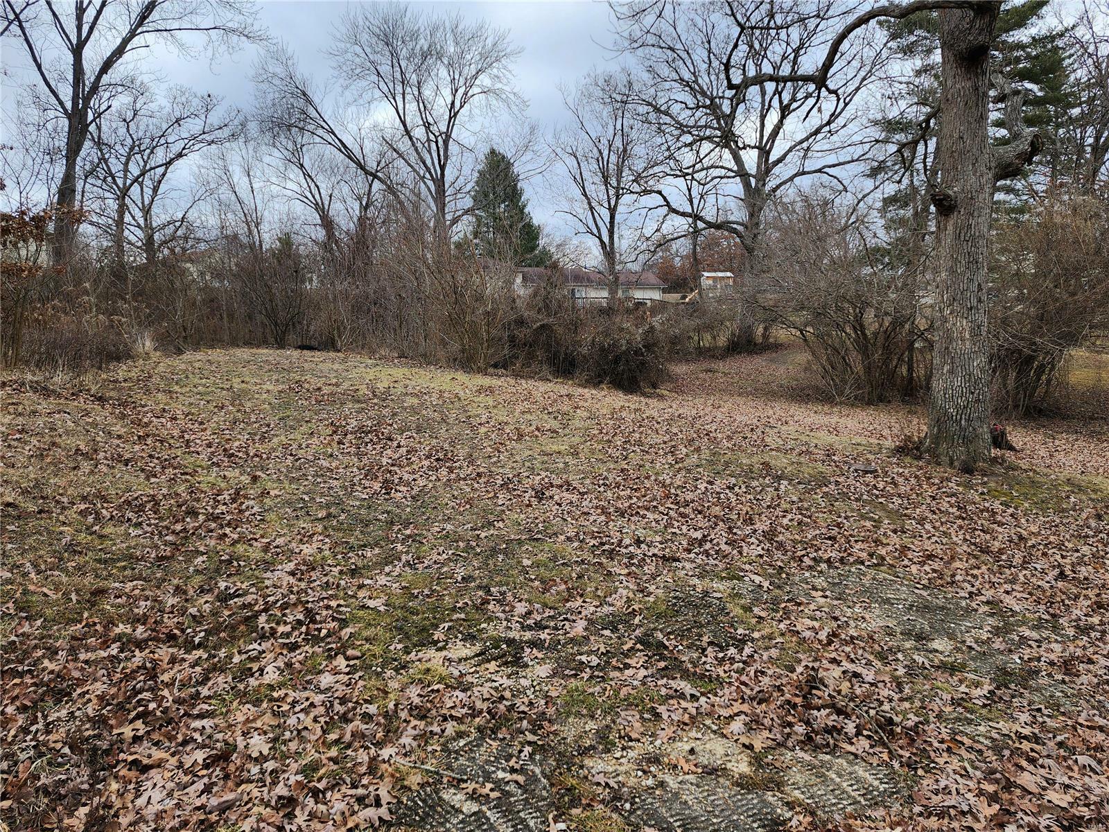 Property Photo:  443 Westlake Drive  MO 63077 