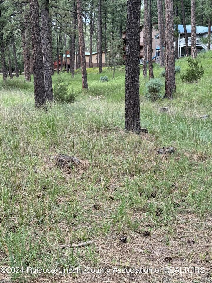 910 Hull Road  Ruidoso NM 88345 photo