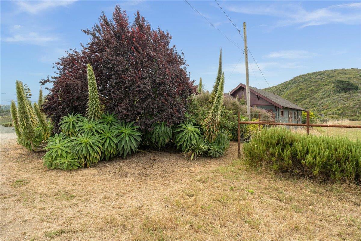 Property Photo:  1926 Pescadero Creek Road  CA 94060 