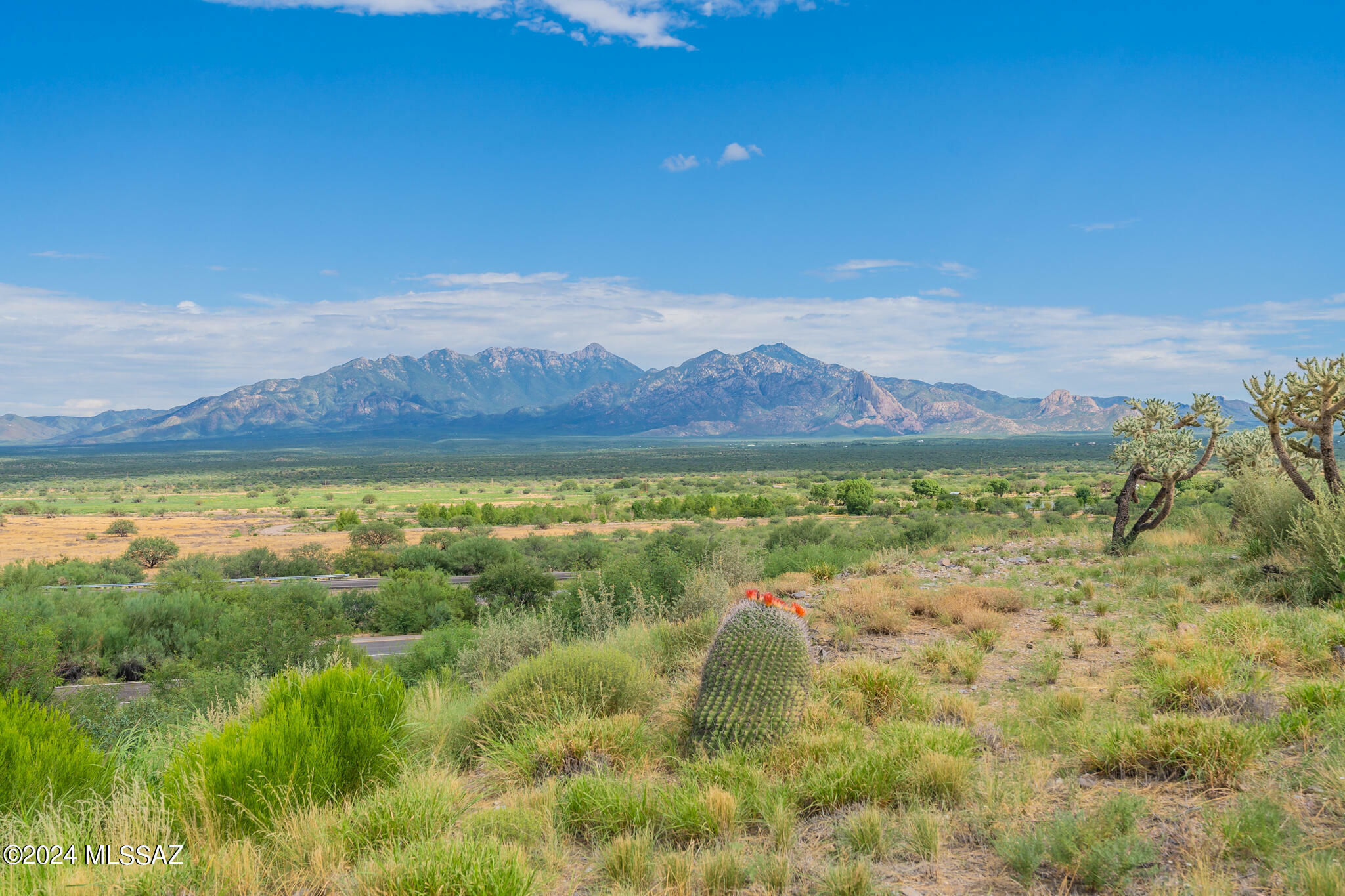 Property Photo:  4975 S Gloria View Court  AZ 85622 