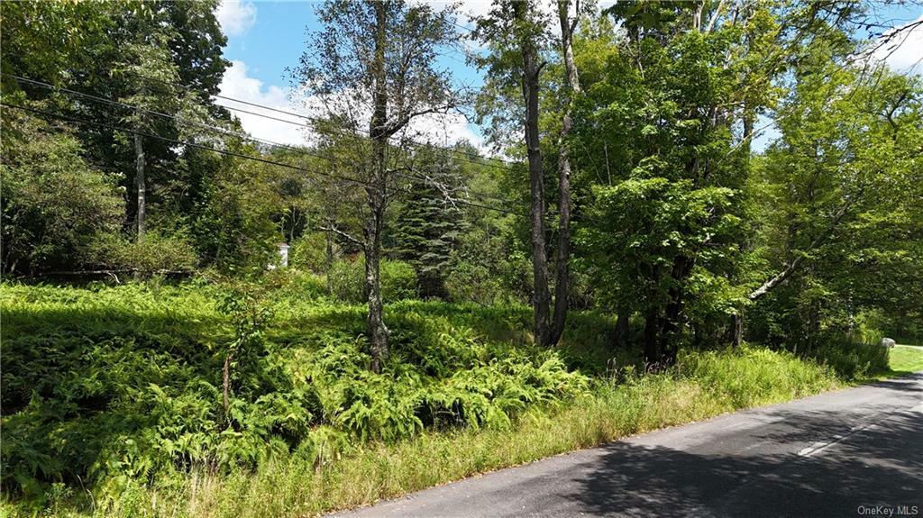 Property Photo:  Revonah Hill Road  NY 12754 