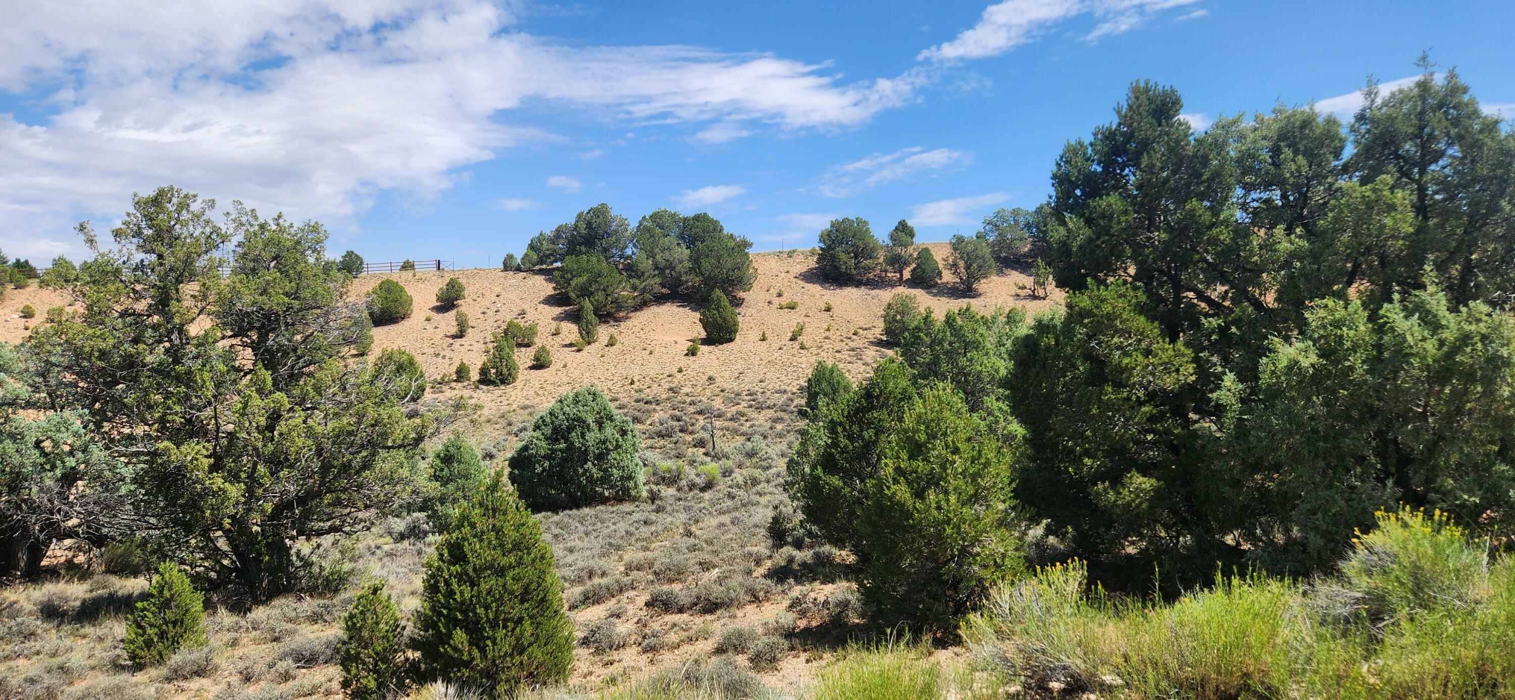 Property Photo: 1775 E Eagle Ridge Rd E 17 UT 84735