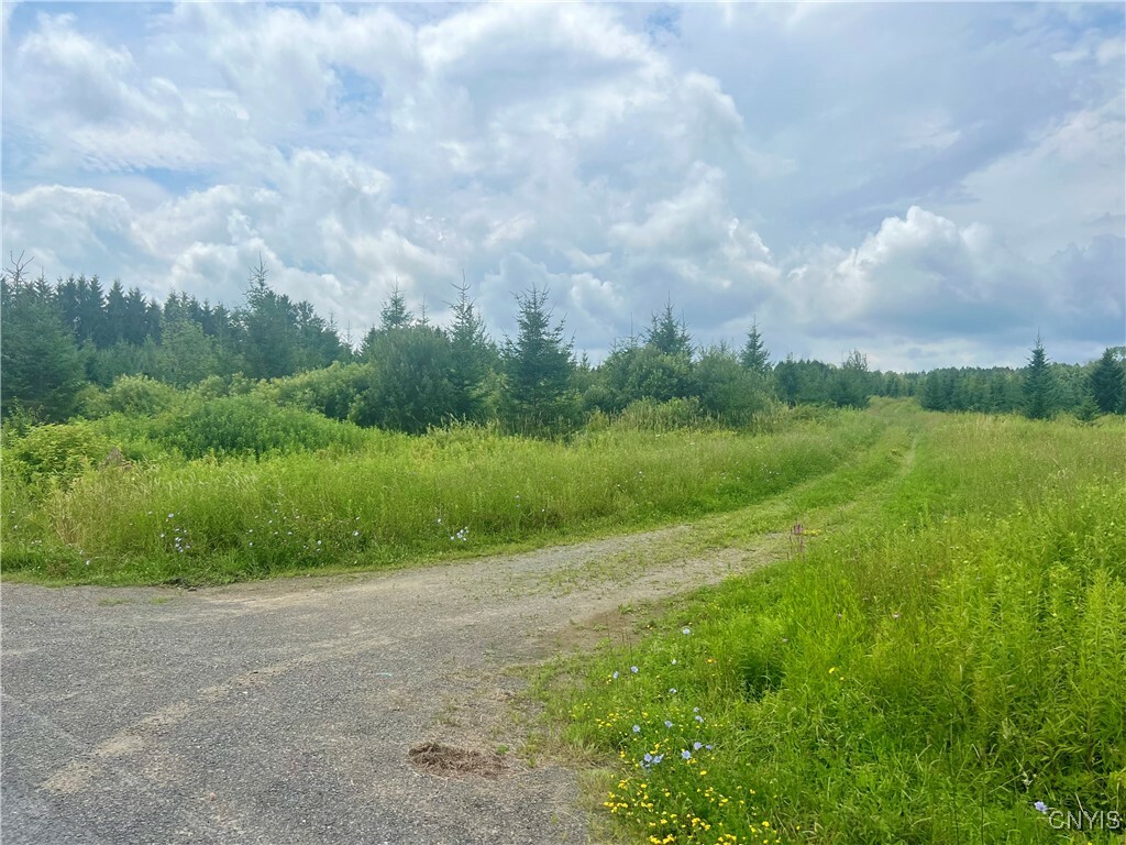 Property Photo: 579 Lick Street NY 13092