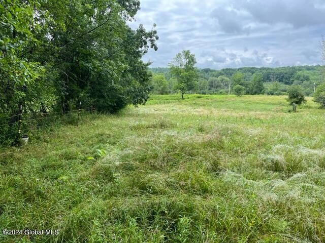 Property Photo:  L30.112 Cleveland Road  NY 12160 
