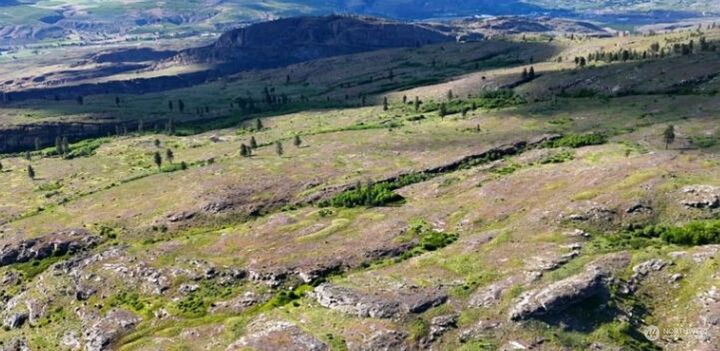 Property Photo: 0 McLaughlin Canyon Road Y-Cc WA 98855