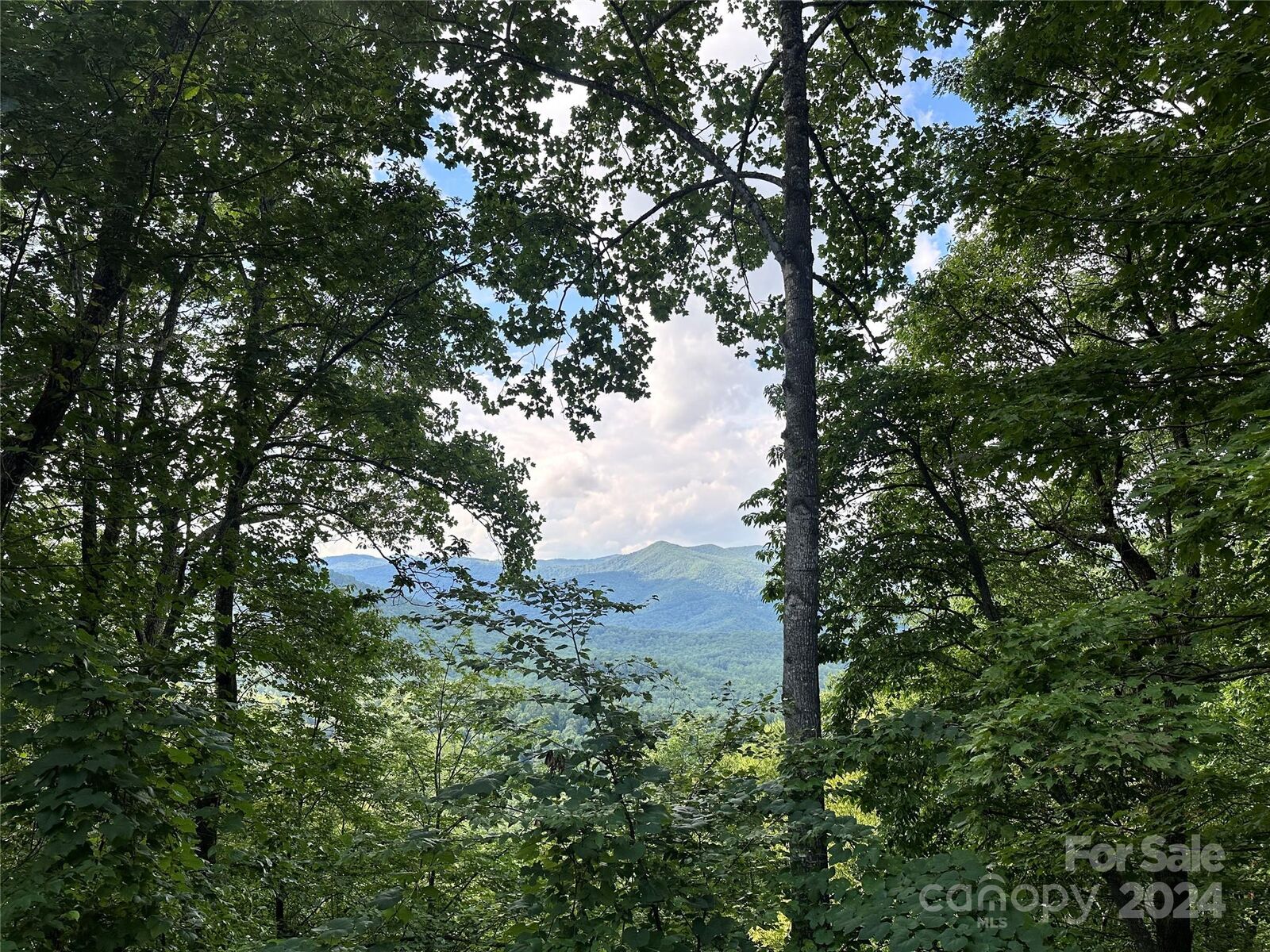 Property Photo:  00000 Medford Drive 25 &Amp 26  NC 28730 