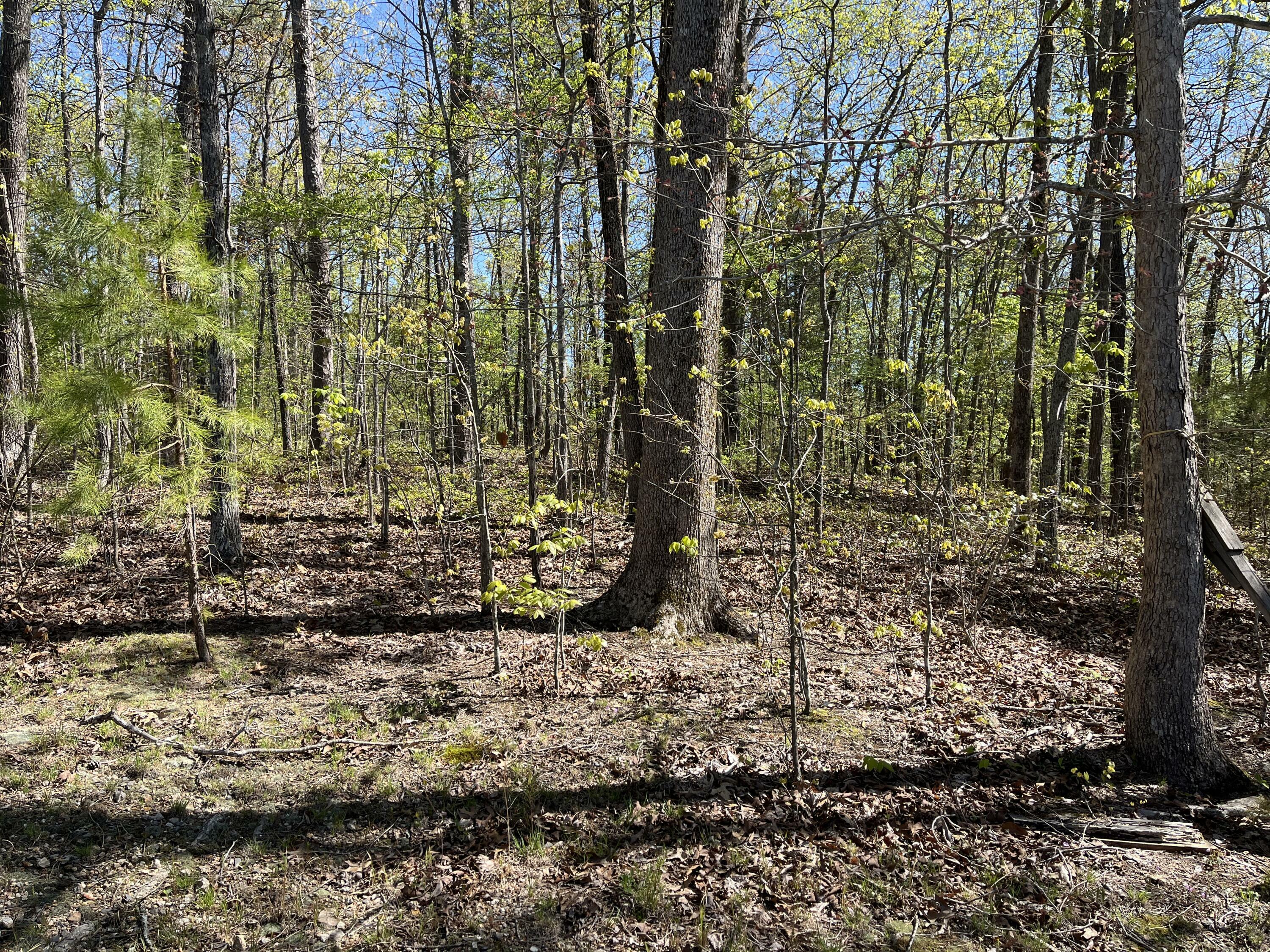 Property Photo:  35 Acres Lafayette Rd  GA 30740 