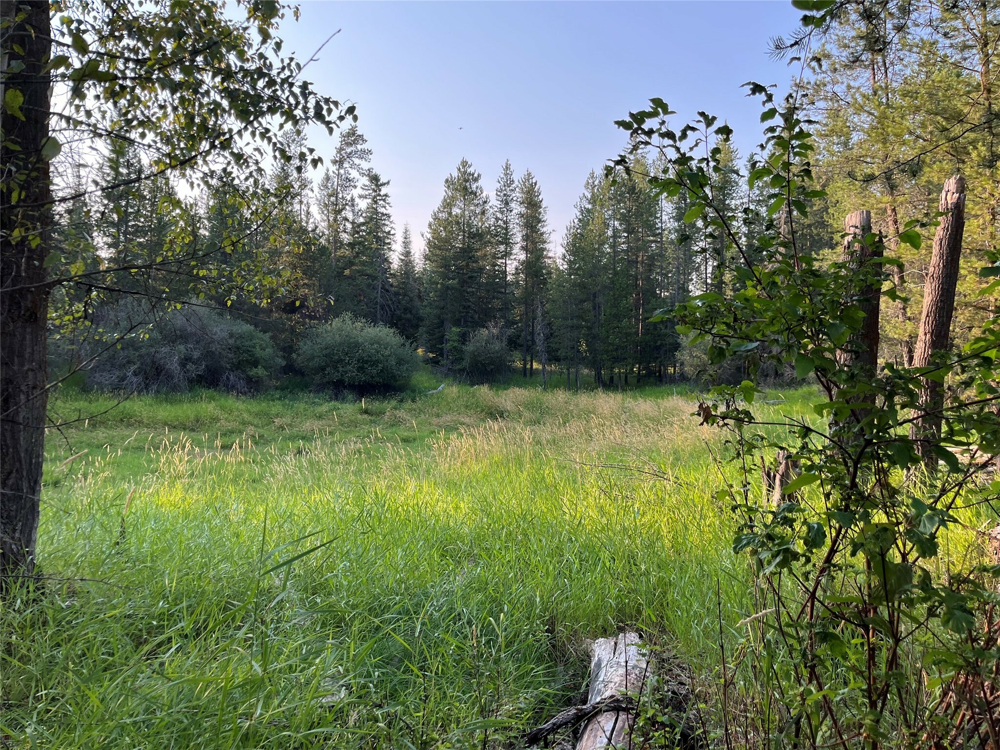 Property Photo:  1067 Larch Ridge Trail  MT 59912 