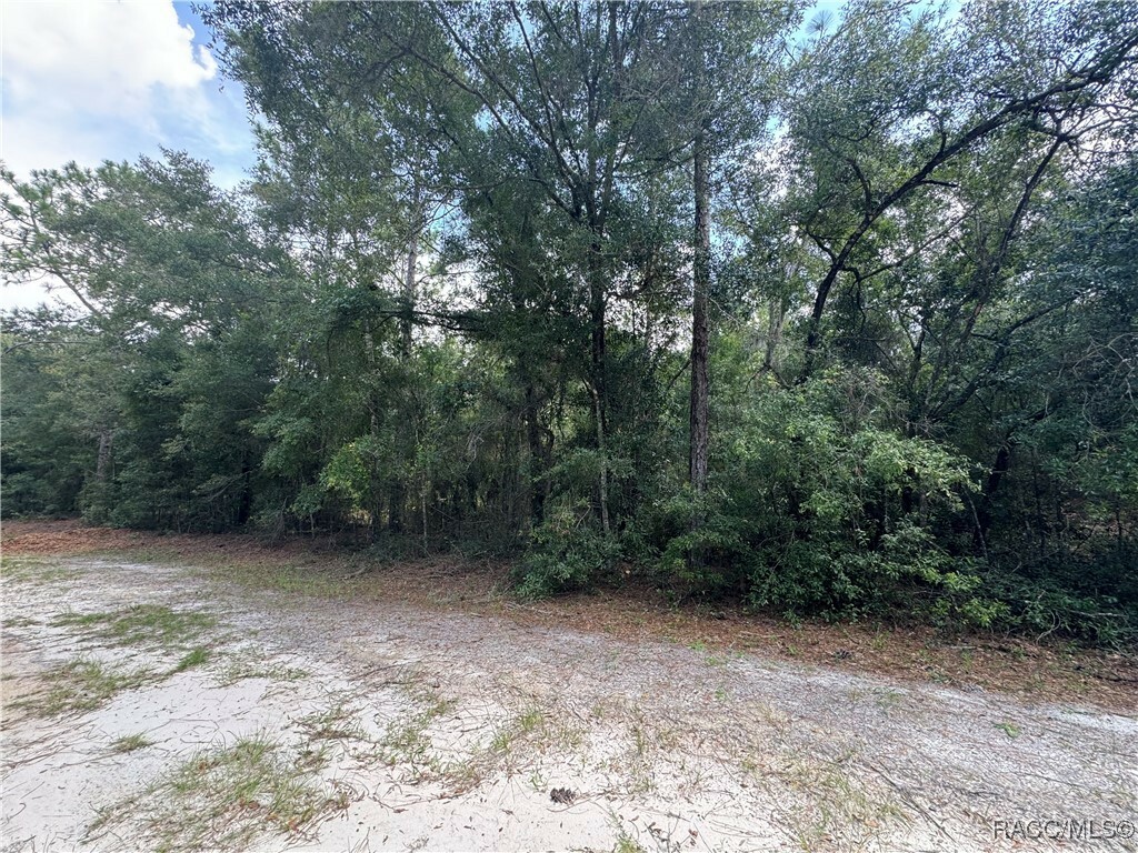 Property Photo:  8178 W Napoli Lane  FL 34428 