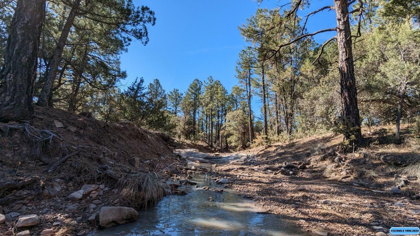 1xxx Old Telegraph Ridge Road  Silver City NM 88061 photo